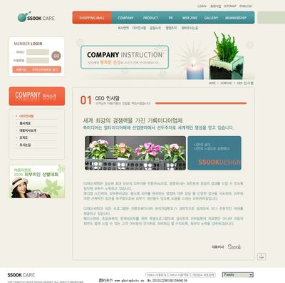 女性護(hù)理設(shè)計(jì)網(wǎng)頁(yè)與網(wǎng)站模板 關(guān)鍵要素與視覺(jué)策略