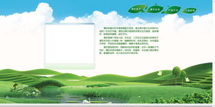 企業(yè)產(chǎn)品網(wǎng)站設(shè)計(jì)制作 打造高效轉(zhuǎn)化的數(shù)字門(mén)面