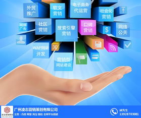 畫冊設(shè)計報價與網(wǎng)絡(luò)信息安全軟件開發(fā)——凌志營銷策劃為您提供專業(yè)服務(wù)